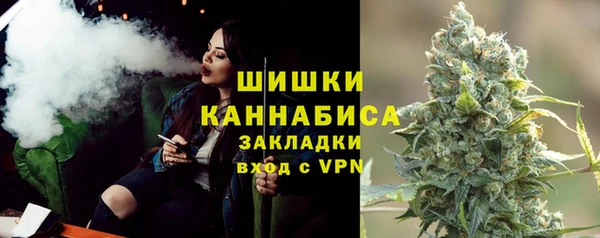spice Верея