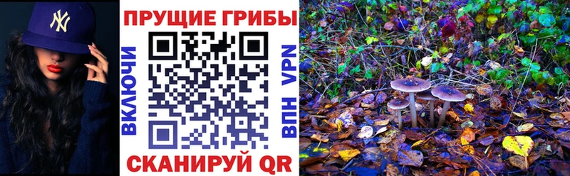 Галлюциногенные грибы прущие грибы  Купить закладки  Любим 